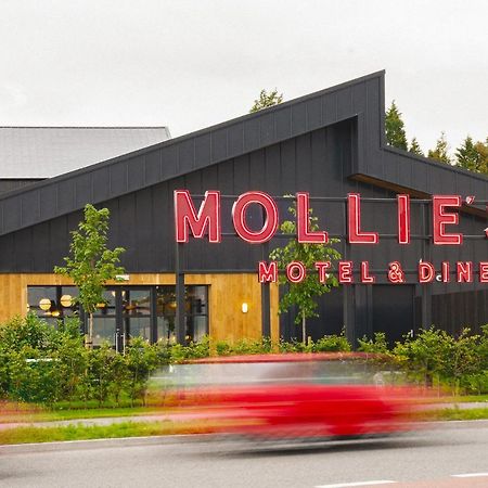 Mollie'S Motel & Diner Bristol Filton Eksteriør billede